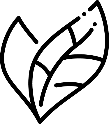 Alt Image