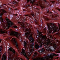ASTAXANTHIN